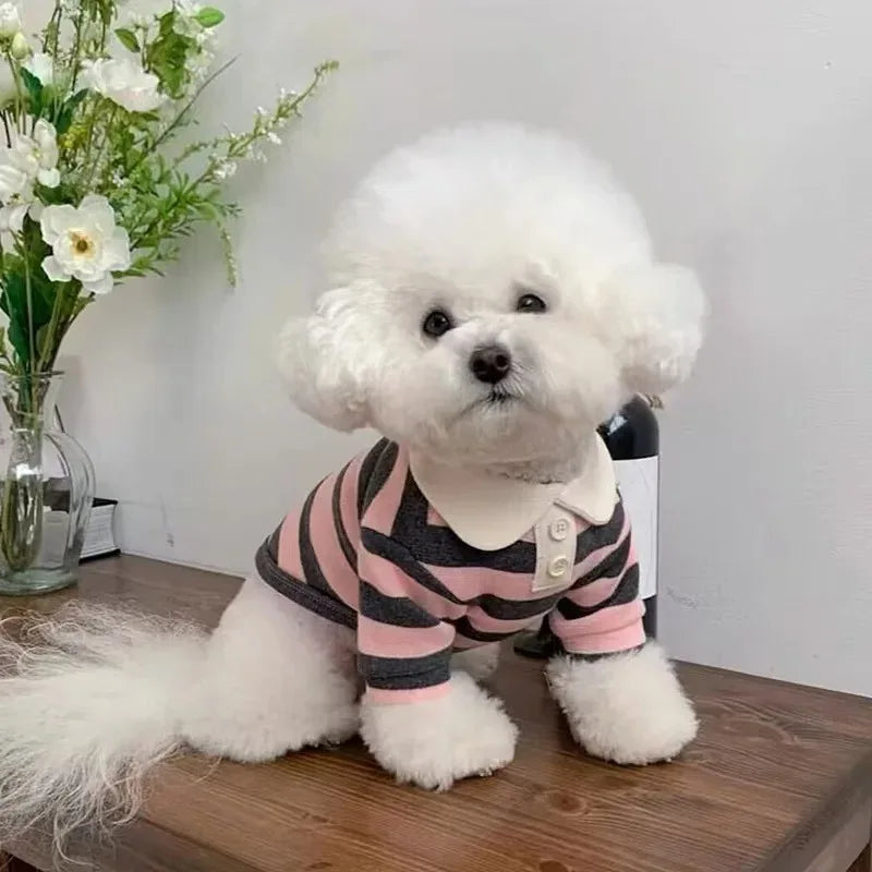 Chemise de luxe premium pour chien