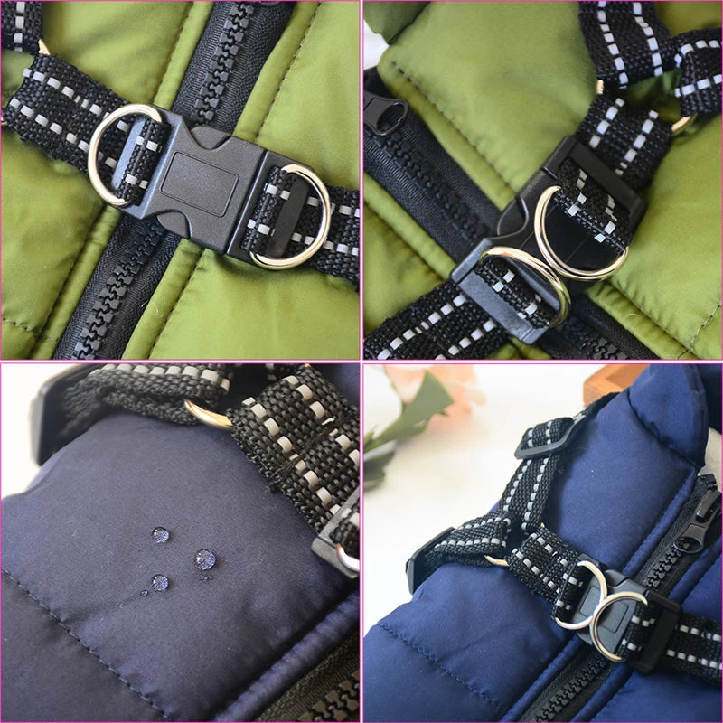 Veste imperméable pour chien avec harnais