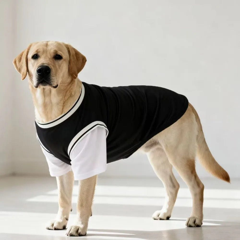 Gilet rafraîchissant en polyester respirant pour chiens | Haut d'été doux pour chiens de taille moyenne et grande