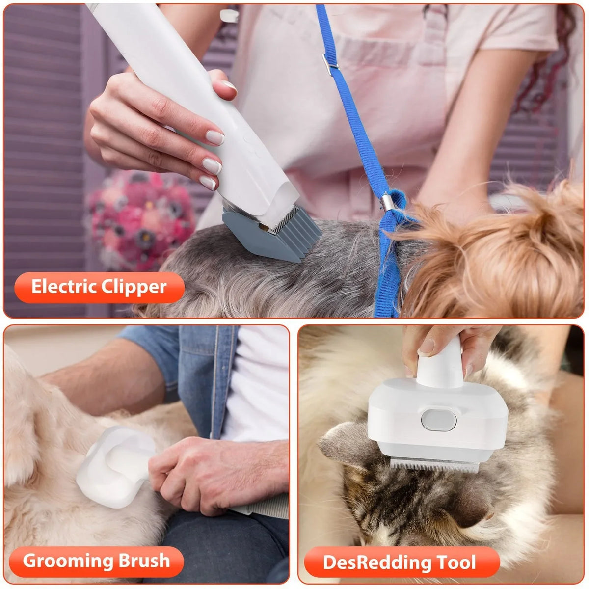 6-in-1 Pet Grooming Vacuum Kit | 400W | 2.5L Dust Cup | Dogs & Cats