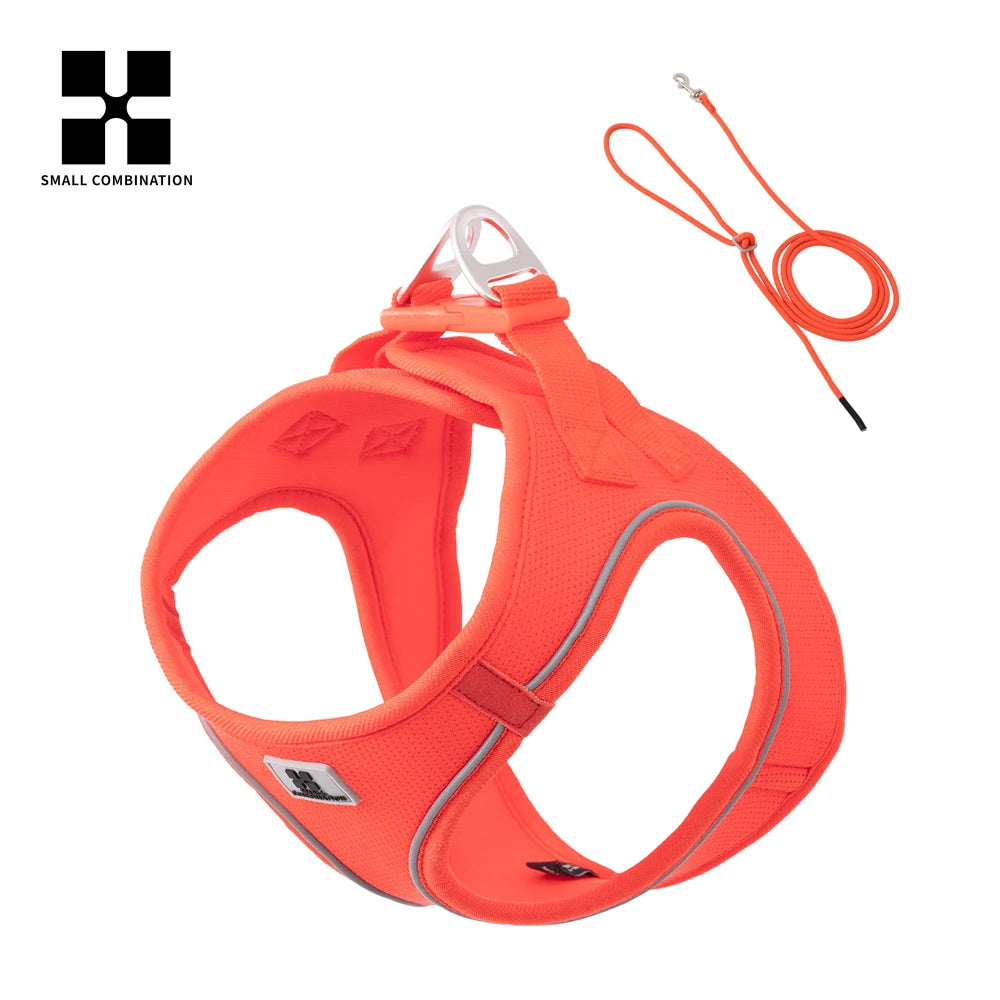 Reflective Dog & Cat Harness with Leash Set