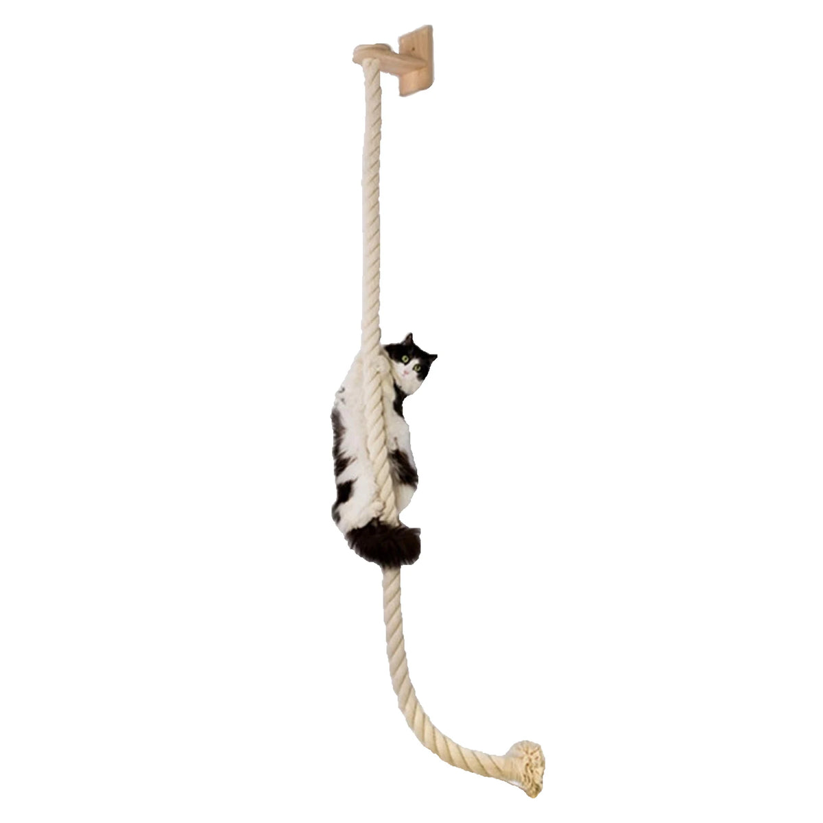 Wall-Mounted Cat Climbing Furniture & Hammocks
