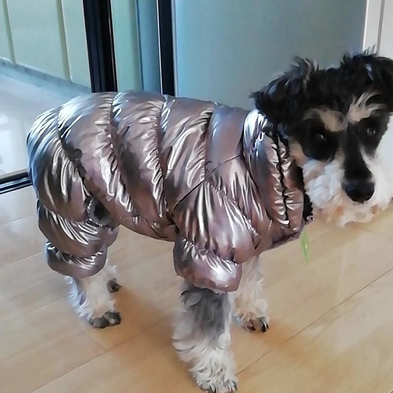 Winter Down Jumpsuit for Small Dogs | Padded All-in-One Dog Coat