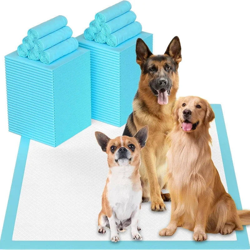 Super Absorbent Disposable Puppy Training Pads — Quick-Dry Surface for Fast, Clean Results