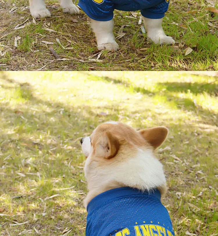 LA Style Dog Cooling Vest | Summer Breathable Shirt for Small to Large Dogs
