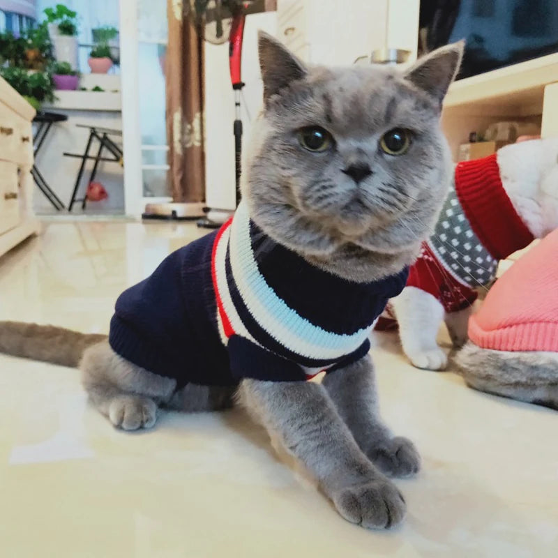 Animal Print Knit Sweater for Cats & Small Dogs