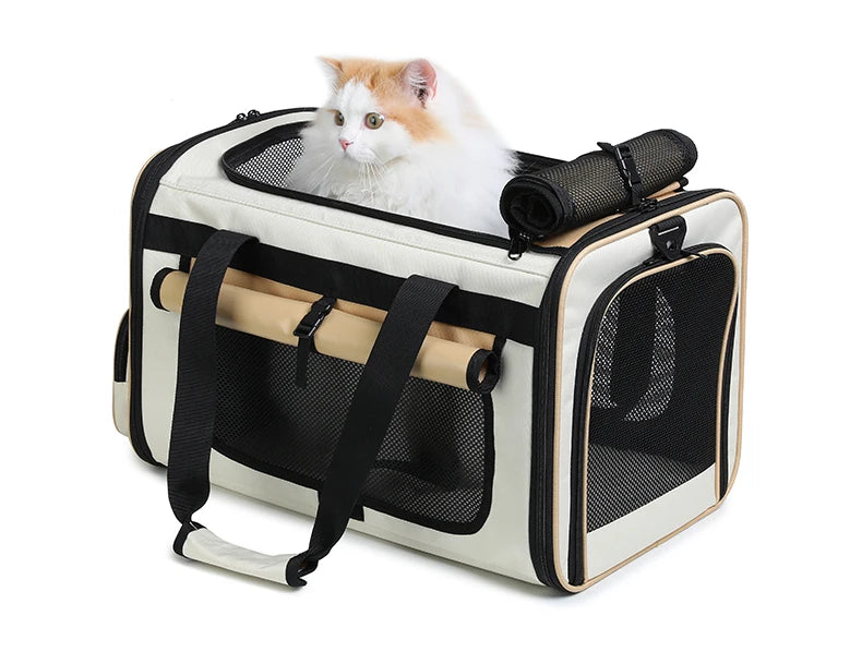 Airline Approved Collapsible Soft-Sided Pet Carrier — Travel Cat & Dog Carrying Case