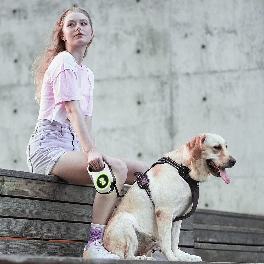 LED Retractable Dog Leash | 5M Rechargeable Light-Up Leash
