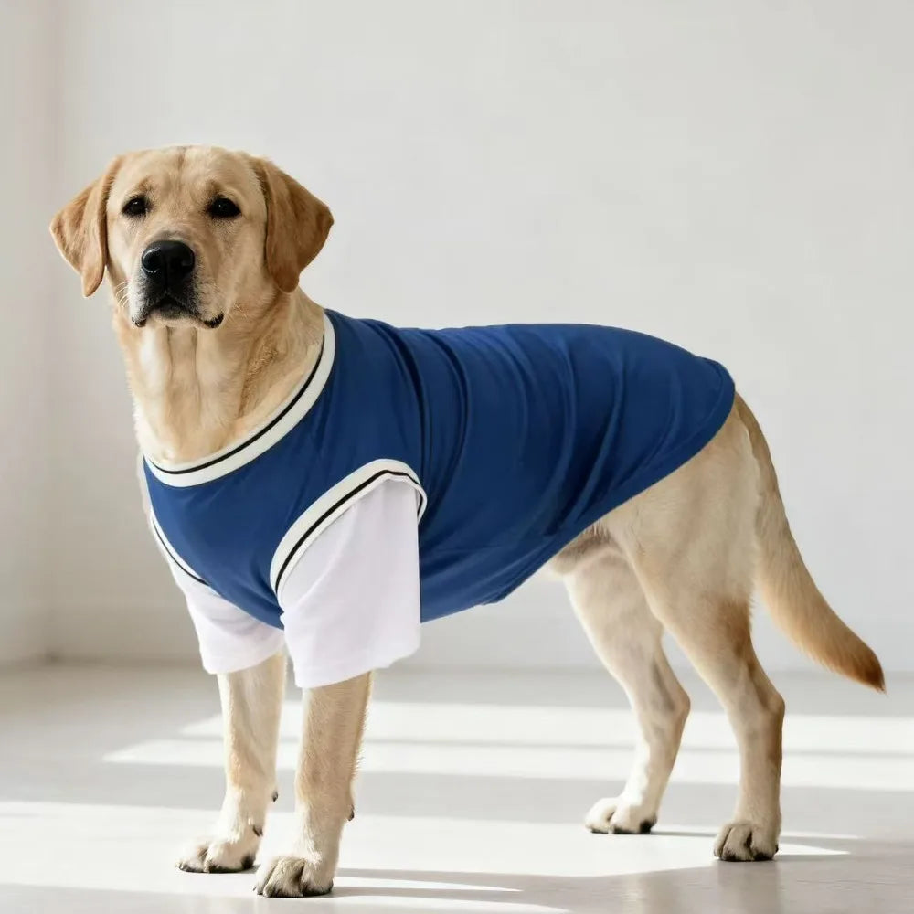 Gilet rafraîchissant en polyester respirant pour chiens | Haut d'été doux pour chiens de taille moyenne et grande