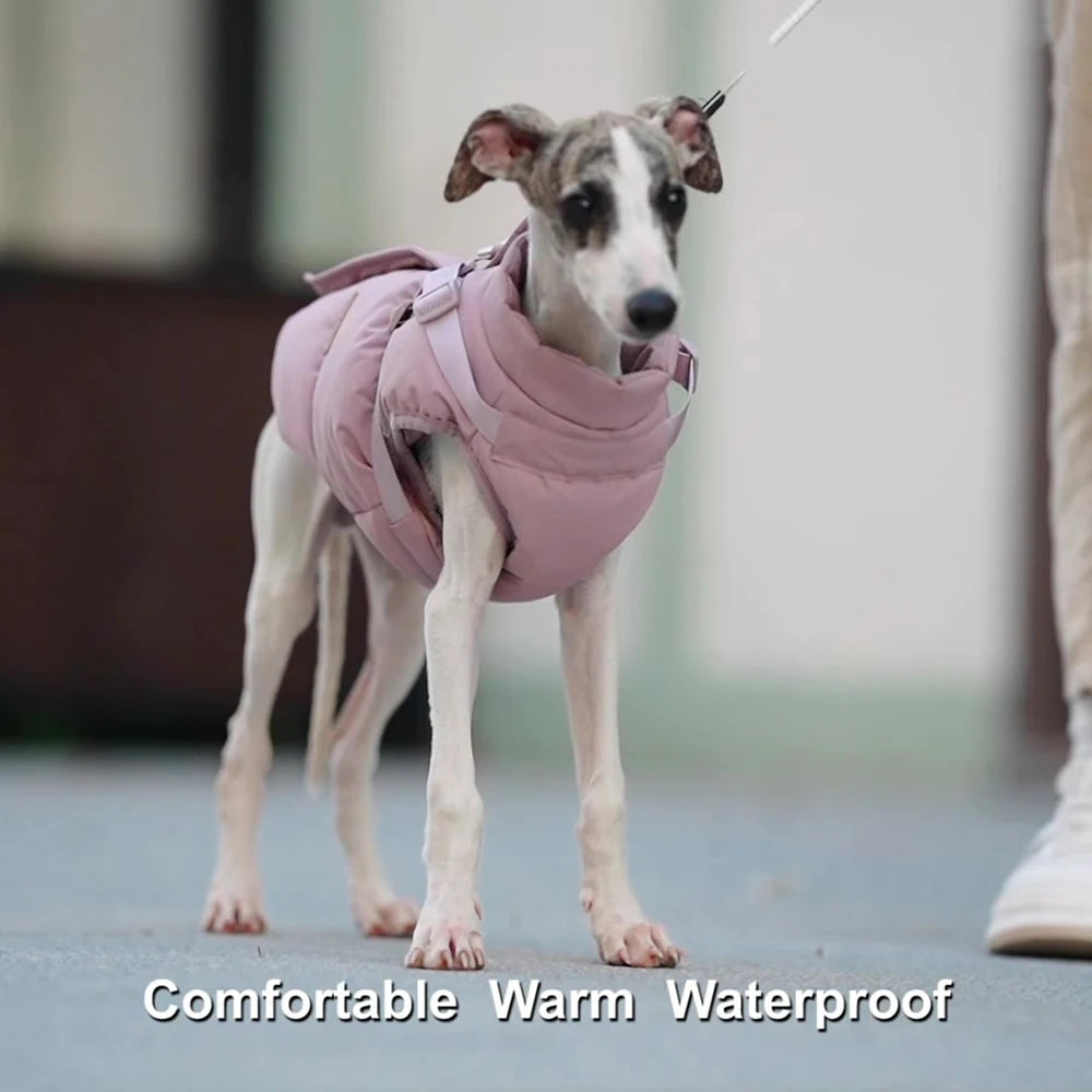 Autumn Winter Pet Clothes Outdoor Dog Jacket with Harness for Small Medium Dogs Thick Warm Pet Cotton-Padded Clothing