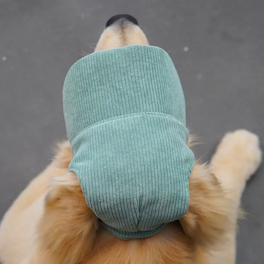Pet Baseball Cap with Ear Holes | Adjustable Summer Sport Hat for Dogs & Cats