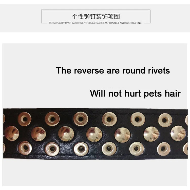 PU Leather Punk Rivet Spiked Collar for Small Dogs & Cats