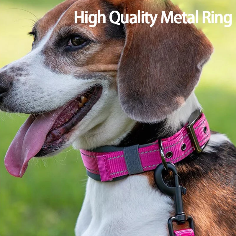 Padded Reflective Dog Collar | Adjustable Heavy-Duty Nylon & Neoprene
