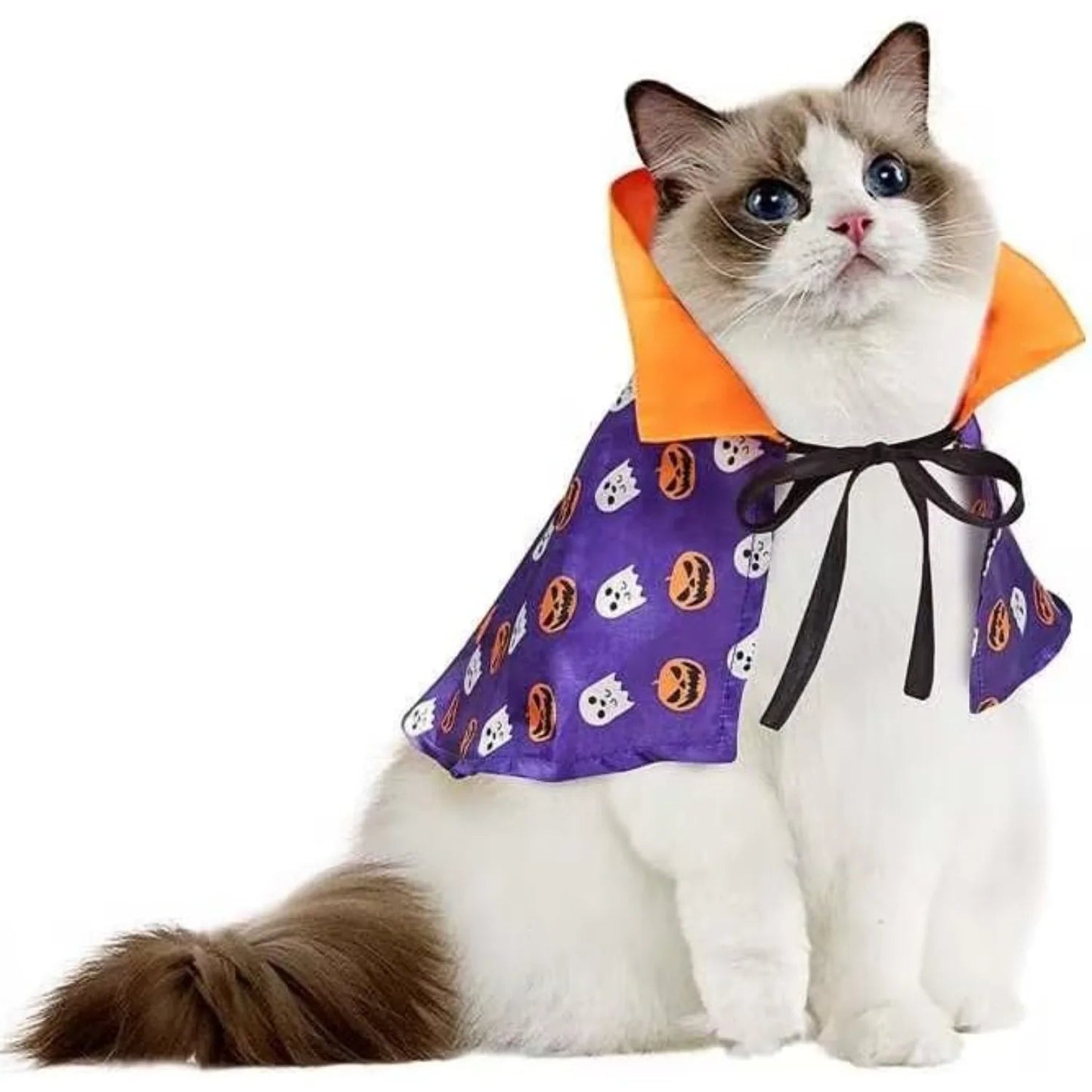 Déguisement d'Halloween pour Chat - Cape de Sorcier et Tenue de Sorcière pour Chats et Petits Chiens