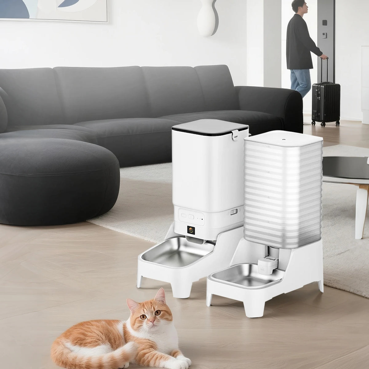Automatic Pet Feeder & Gravity Waterer Options