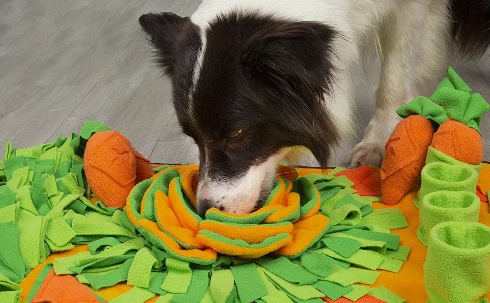 Nosework Dog Snuffle Mat with Squeaker, Carrots & Ringing Paper