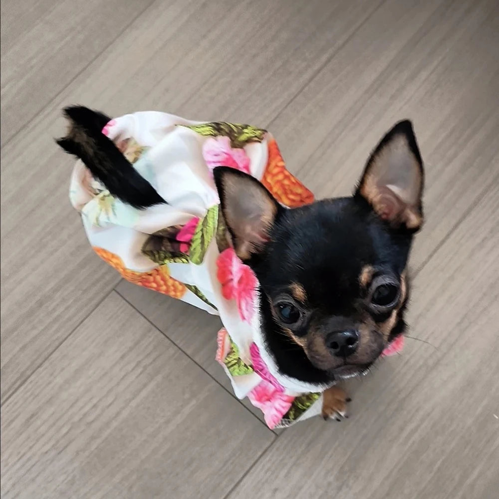 Lace Collar Dress for Cats & Small Dogs