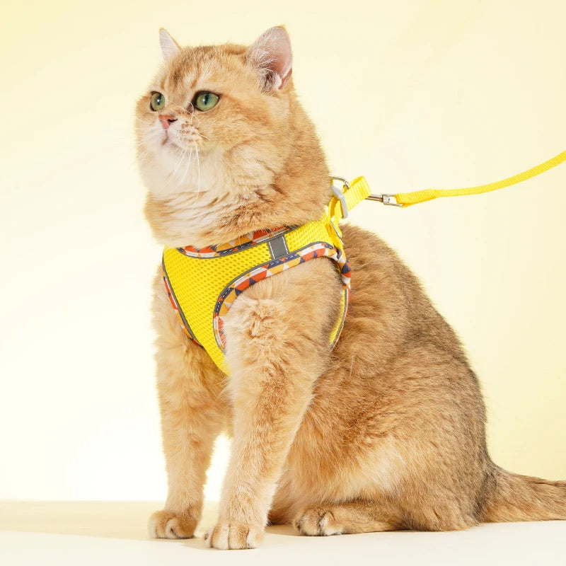 Reflective Padded Pet Harness & Retractable Lead Set — Tangle-Free for Small Dogs & Cats