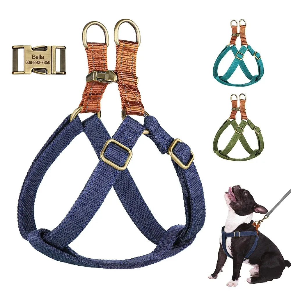 Ensemble harnais de dressage et collier personnalisé pour chien