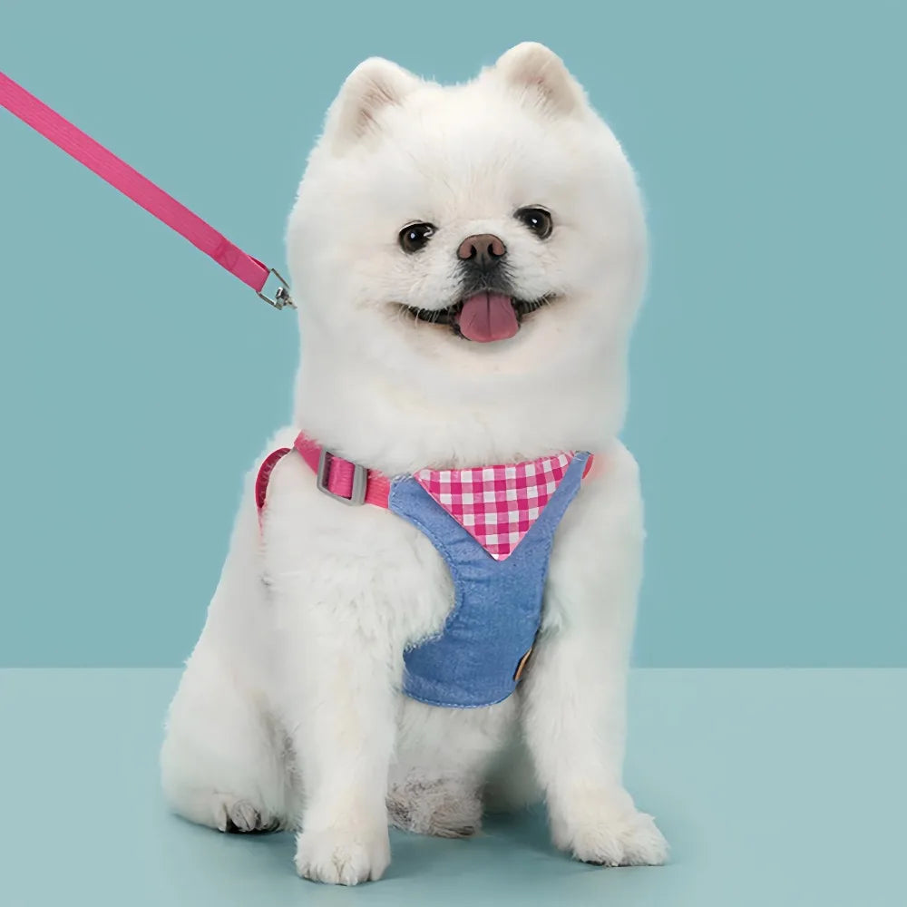 Denim No-Pull Harness & Leash Set for Dogs & Cats