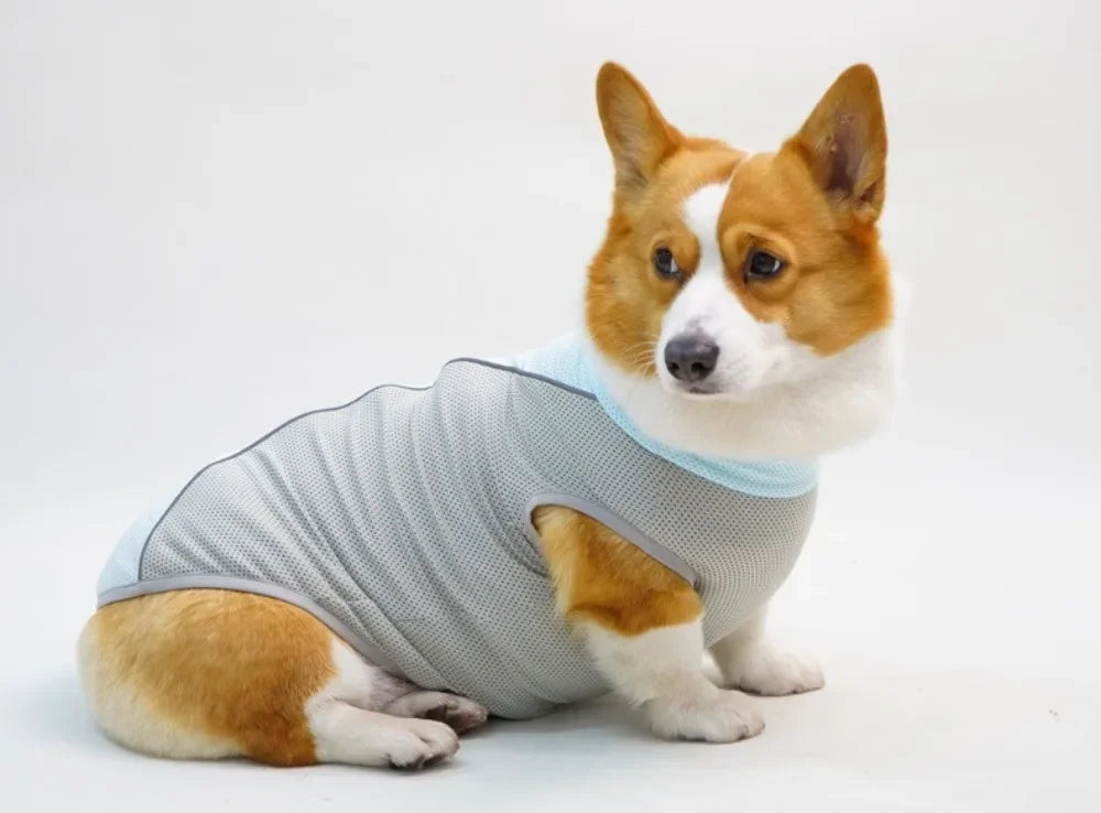 Ice Pack Cooling Vest for Small & Medium Dogs