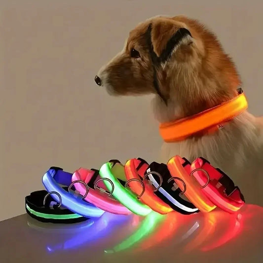 LED Dog Collar - Rechargeable Safety Light for Night Walking