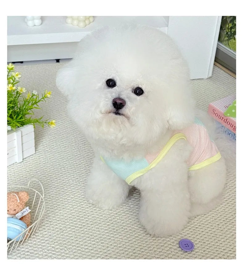 Gilet rafraîchissant réfléchissant et t-shirt d'été pour chiens et chats de petite, moyenne et grande taille