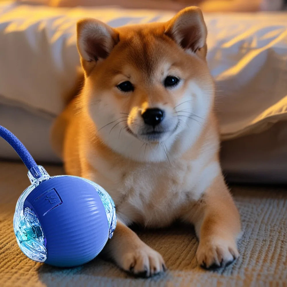 Automatic Rolling Ball Cat Toy - Rechargeable