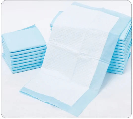 Alèses jetables pour chiens - Tapis absorbants pour chiots pour l'apprentissage de la propreté