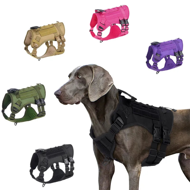 Harnais Tactique pour Chien avec Sangle de Poitrine et Boucle de Renfort