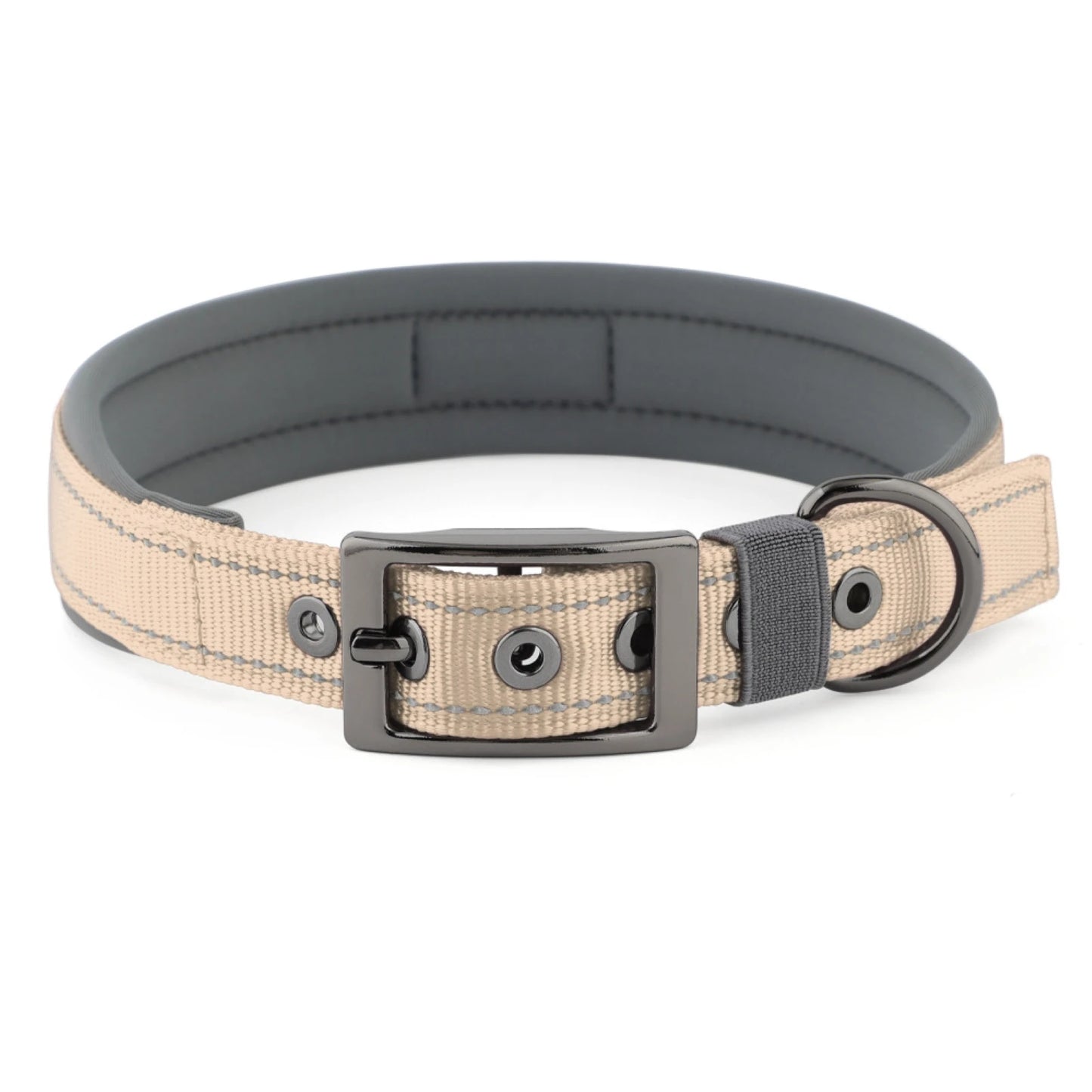 Neoprene Padded Reflective Dog Collar with Metal Buckle