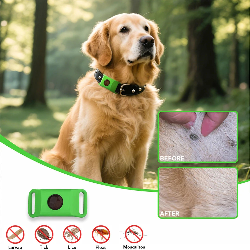 Natural Essential Oil Flea & Tick Collar Pendant – Chemical-Free Protection for Dogs & Cats