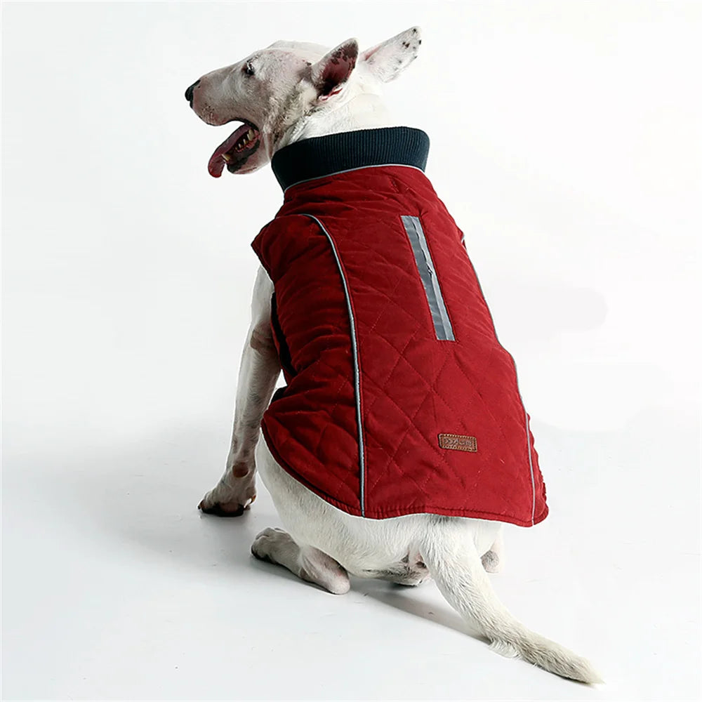 Warm Reflective Winter Jacket for Dogs — XS to 3XL