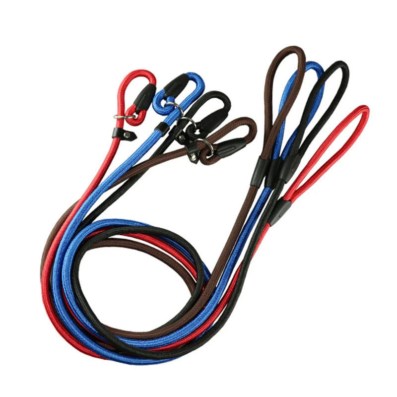 Nylon Slip Lead Training Leash for Small & Medium Dogs