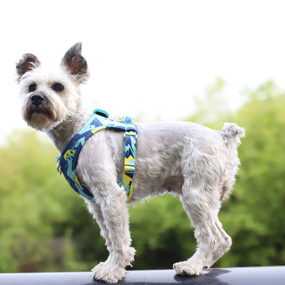 Adjustable Mesh Vest Harness for Dogs & Cats