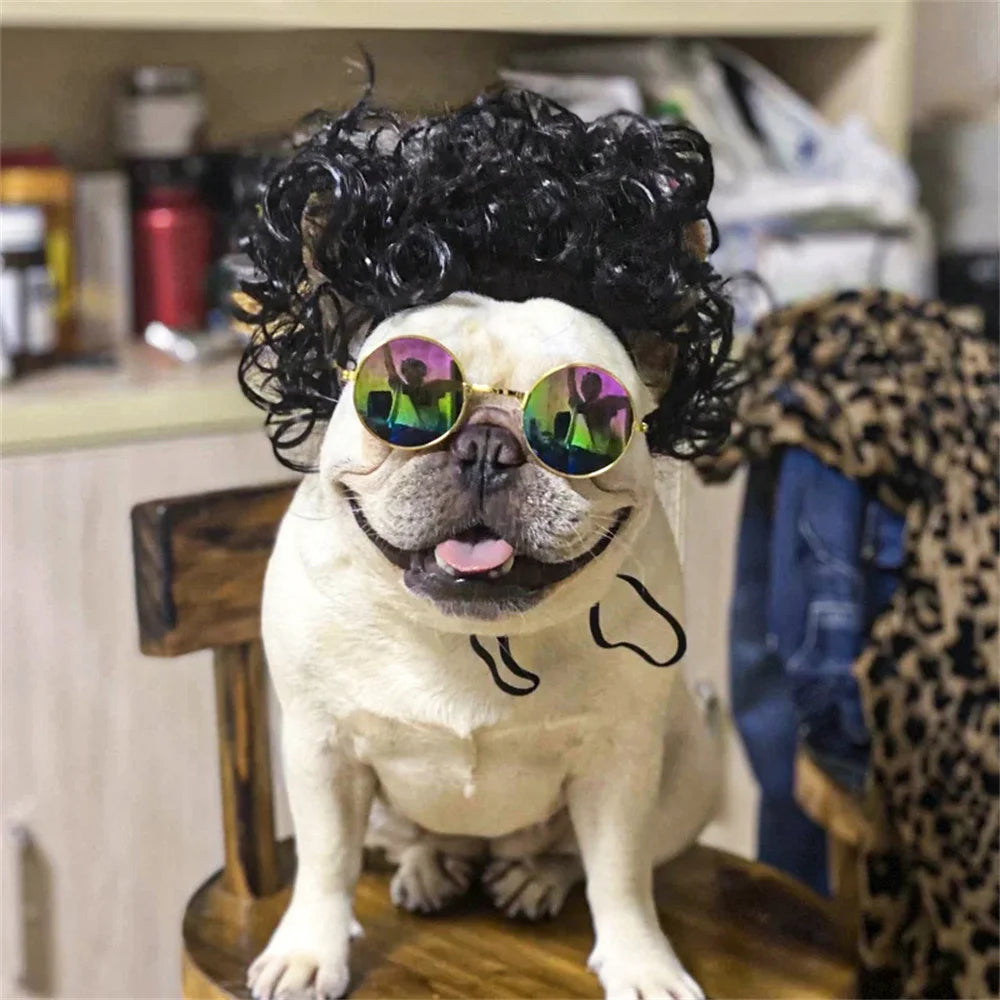 Novelty Faux Fur Wig Hat for Dogs & Cats