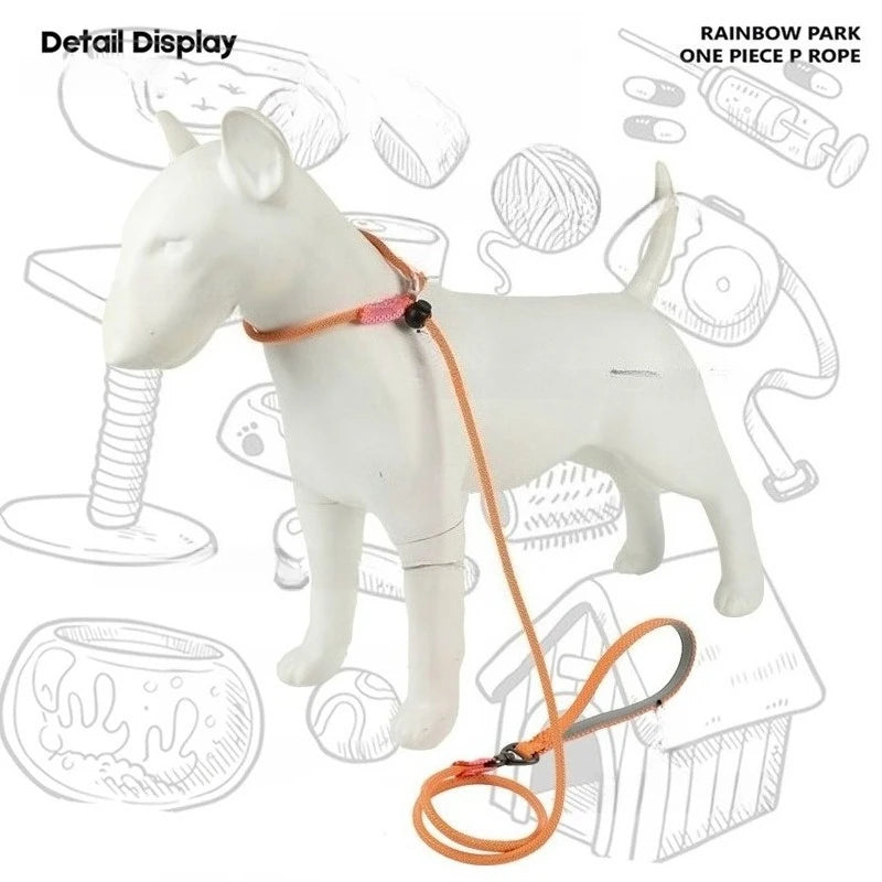 Laisse de dressage 2-en-1 avec collier étrangleur intégré pour petits chiens 150cm
