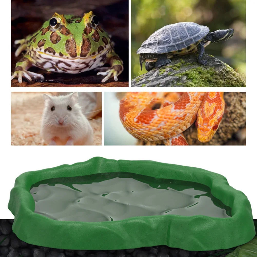 Reptile Rock-Style Food & Water Bowl for Terrariums