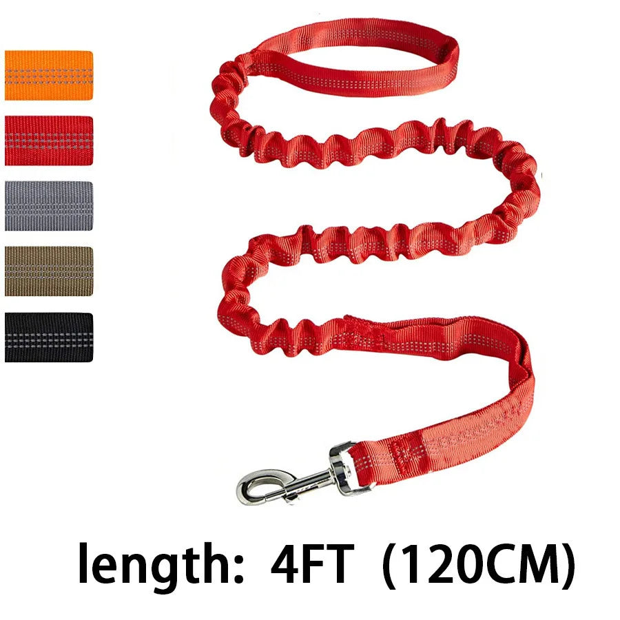 Laisse de dressage élastique antichoc pour chien