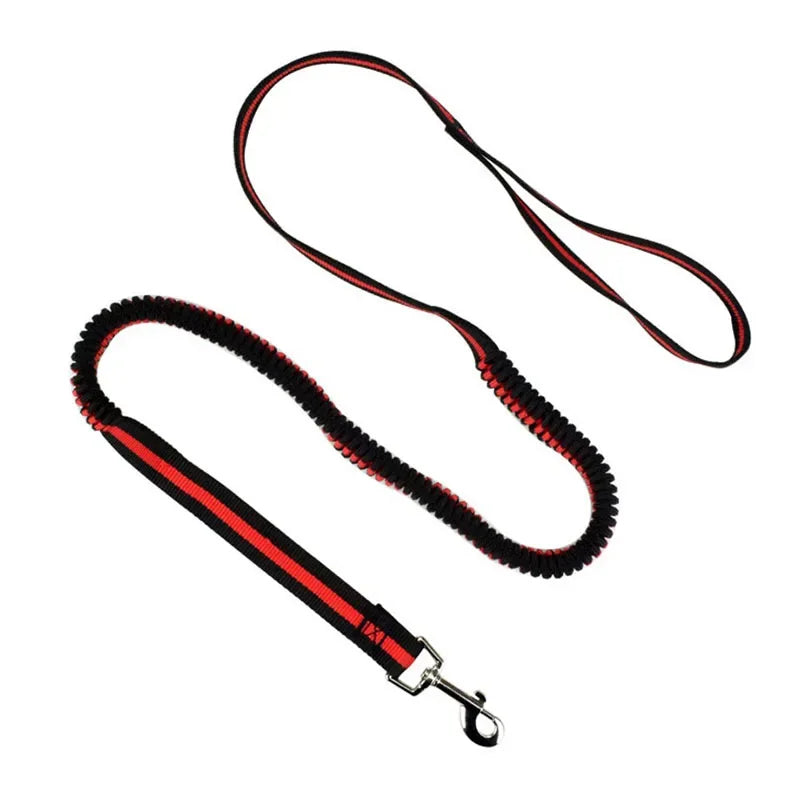 Laisse élastique anti-traction pour animaux (190 cm)