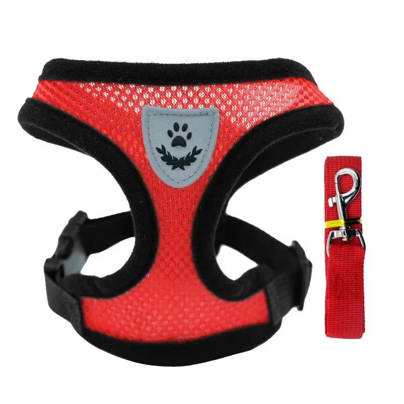 Harnais anti-évasion pour chat et chien avec laisse - Gilet en maille réglable pour la promenade