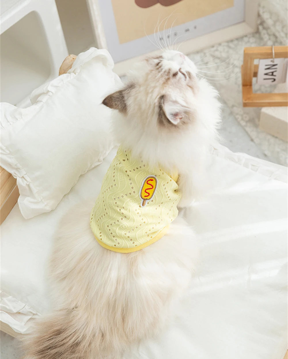 Breathable Summer Vest for Cats & Small Dogs