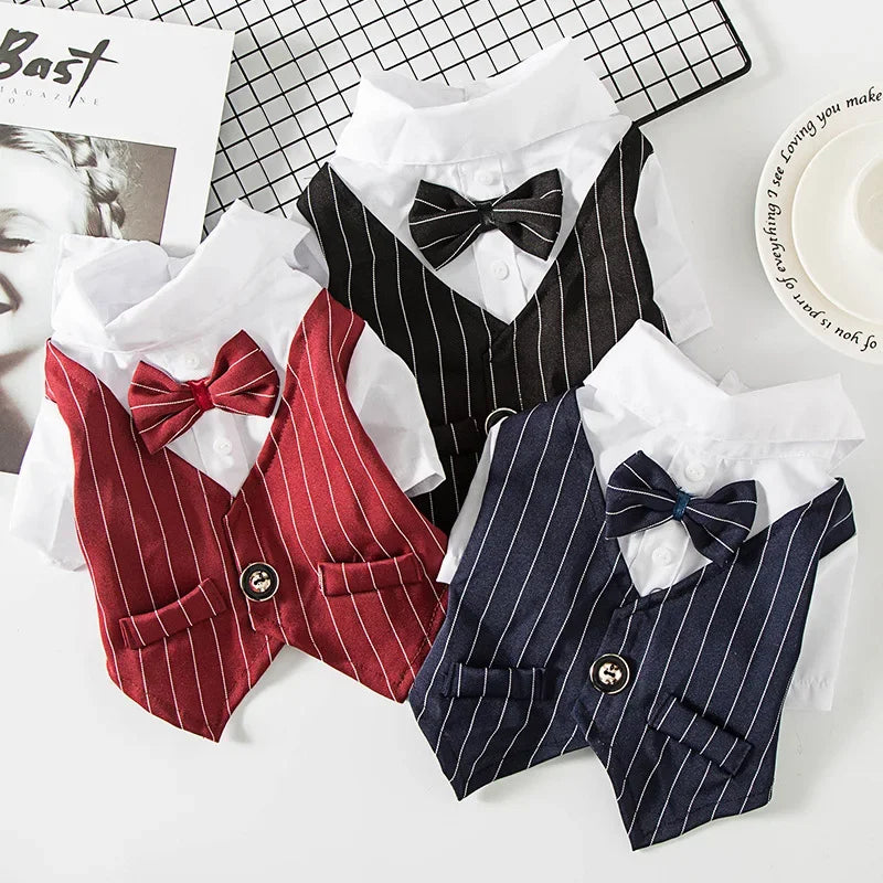 Striped Tuxedo Jacket with Bow for Small Dogs & Cats