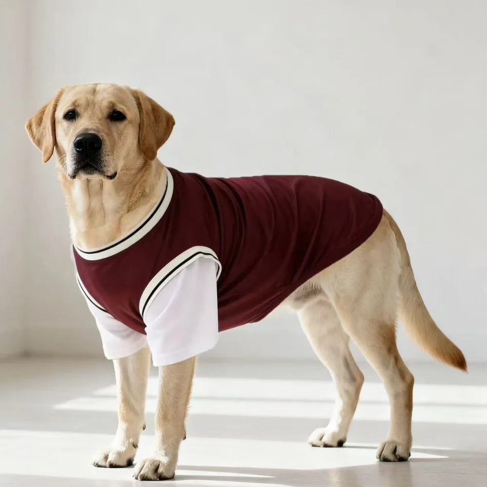 Gilet rafraîchissant en polyester respirant pour chiens | Haut d'été doux pour chiens de taille moyenne et grande