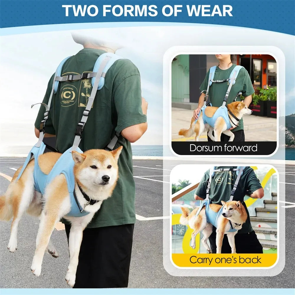 Sac à dos et sac de transport pour animaux de compagnie - Chiens et chats