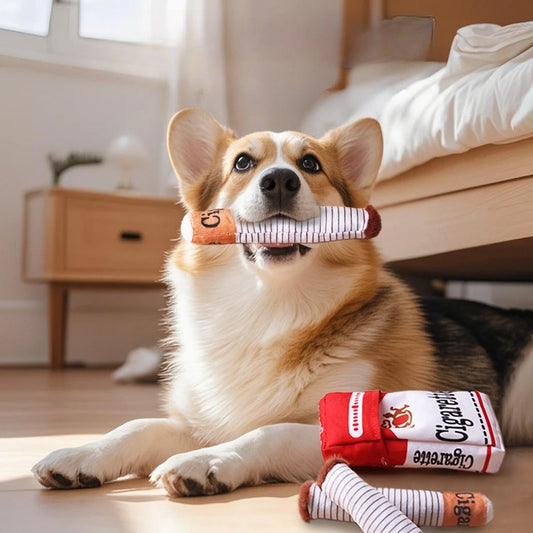 Plush Squeak Toy for Dogs