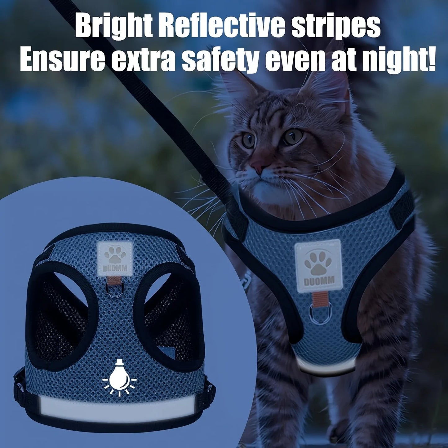 Cat Collar, Harness & Leash Set for Kittens