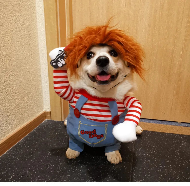 Funny Halloween Pet Costume