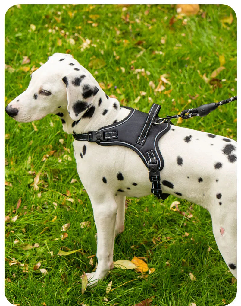 Ultra-Light Dog Harness Vest — Quick-Fit Saddle Design, No-Pull Chest Strap & Escape-Proof