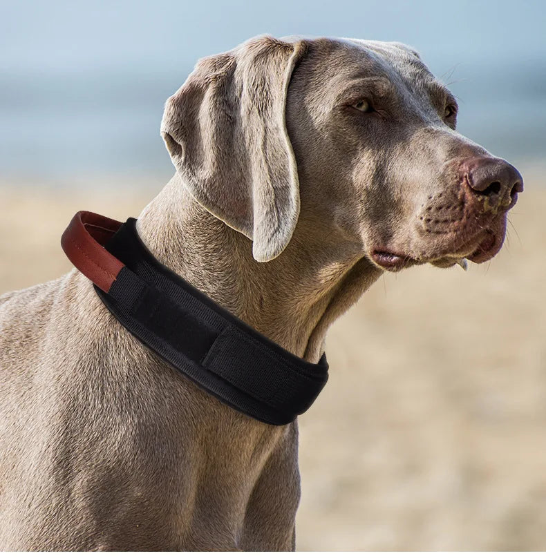 Adjustable Tactical Training Collar for Medium & Large Dogs